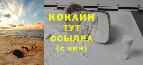 apvp Няндома