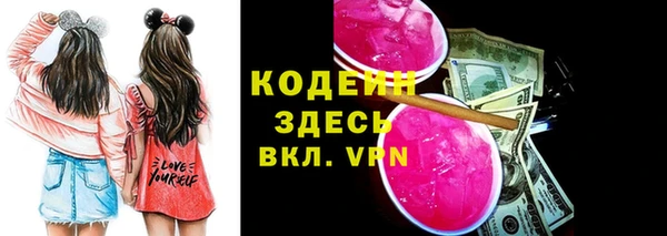 apvp Няндома