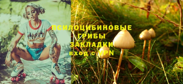 метадон Осинники