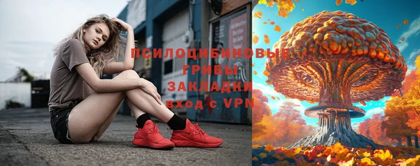 дурь Нязепетровск