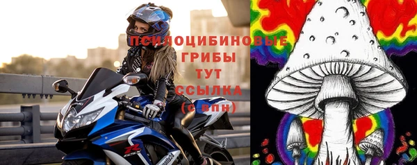 PSILOCYBIN Осташков