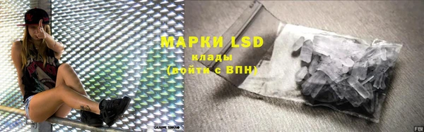 PSILOCYBIN Осташков