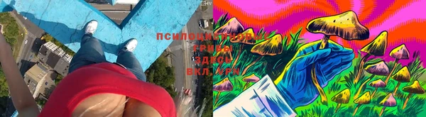 дживик Остров