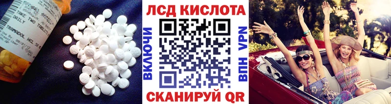 дарнет шоп  Кировск  LSD-25 экстази кислота 