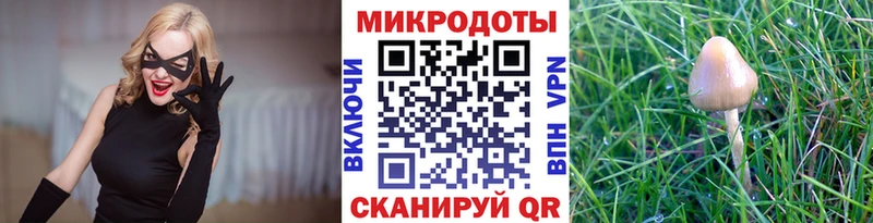 Галлюциногенные грибы мицелий  Кировск 
