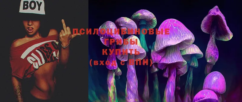 наркошоп  Кировск  Галлюциногенные грибы Cubensis 