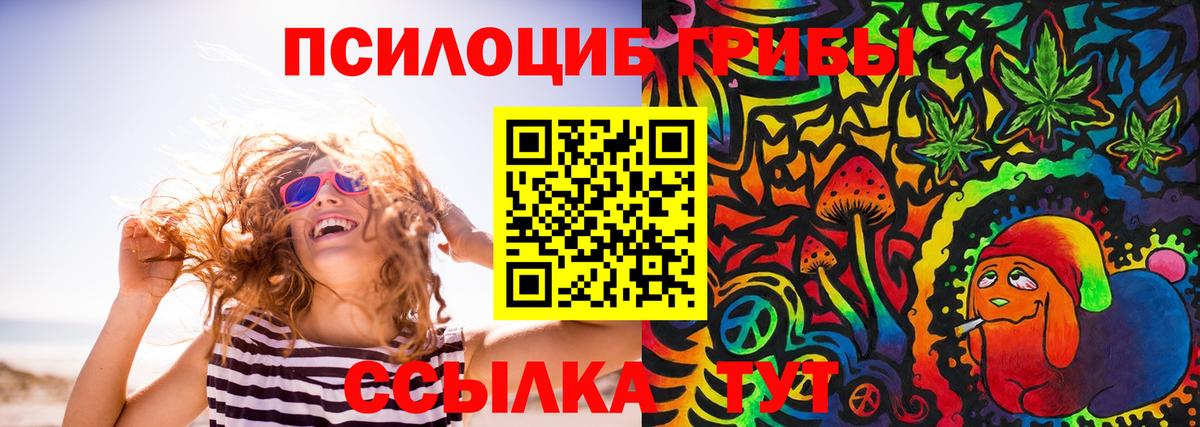 Кировск  Галлюциногенные грибы прущие грибы  Вход с VPN  Галлюциногенные грибы GOLDEN TEACHER 