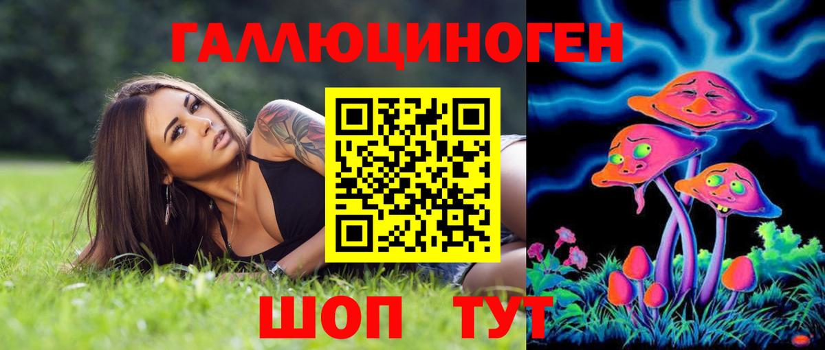 Галлюциногенные грибы Cubensis Кировск